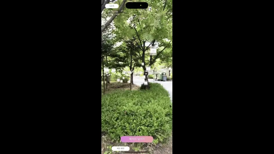 Seoul Meari Demo